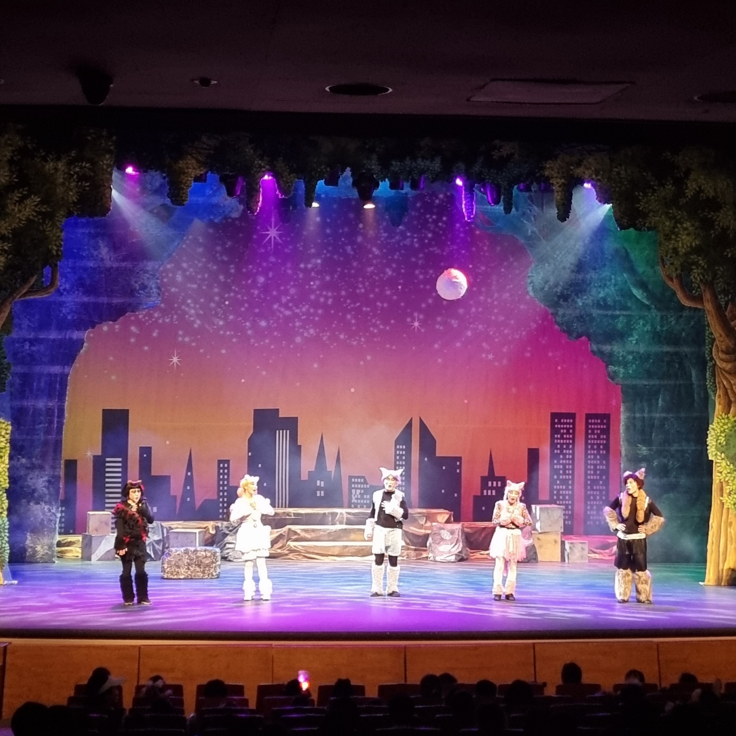 < 어린이 뮤지컬 캣 >